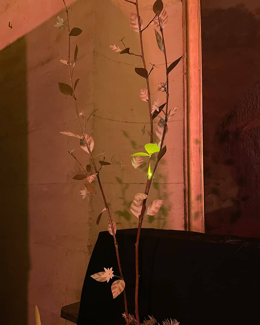 Nook-detail-5-4x5-Maryline-Lievre-web